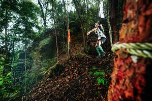 BIB: 
                            <button type="button" onclick="openModal(26197875)" class="btn btn-primary btn-sm float-right btn-popup" data-toggle="modal" data-target=".modal-high-quality">
                        <i class="fas fa-shopping-cart"></i> Add to Cart
                    </button>
                                            <button type="button" onclick="isThisMe(26197875, true)" class="btn btn-success btn-sm float-right btn-popup btn-isme hidden" data-toggle="tooltip" data-placement="bottom" title="นี่คือรูปของคุณใช่ไหม คลิกที่นี่เพื่อเอาเข้าอัลบั้ม">
                        <i class="fas fa-plus"></i> Add to album
                    </button>
                    <button type="button" onclick="isThisMe(26197875, false)" class="btn btn-warning btn-sm float-right btn-popup btn-isnotme hidden">
                        <i class="fas fa-ban"></i> Remove from album
                    </button>